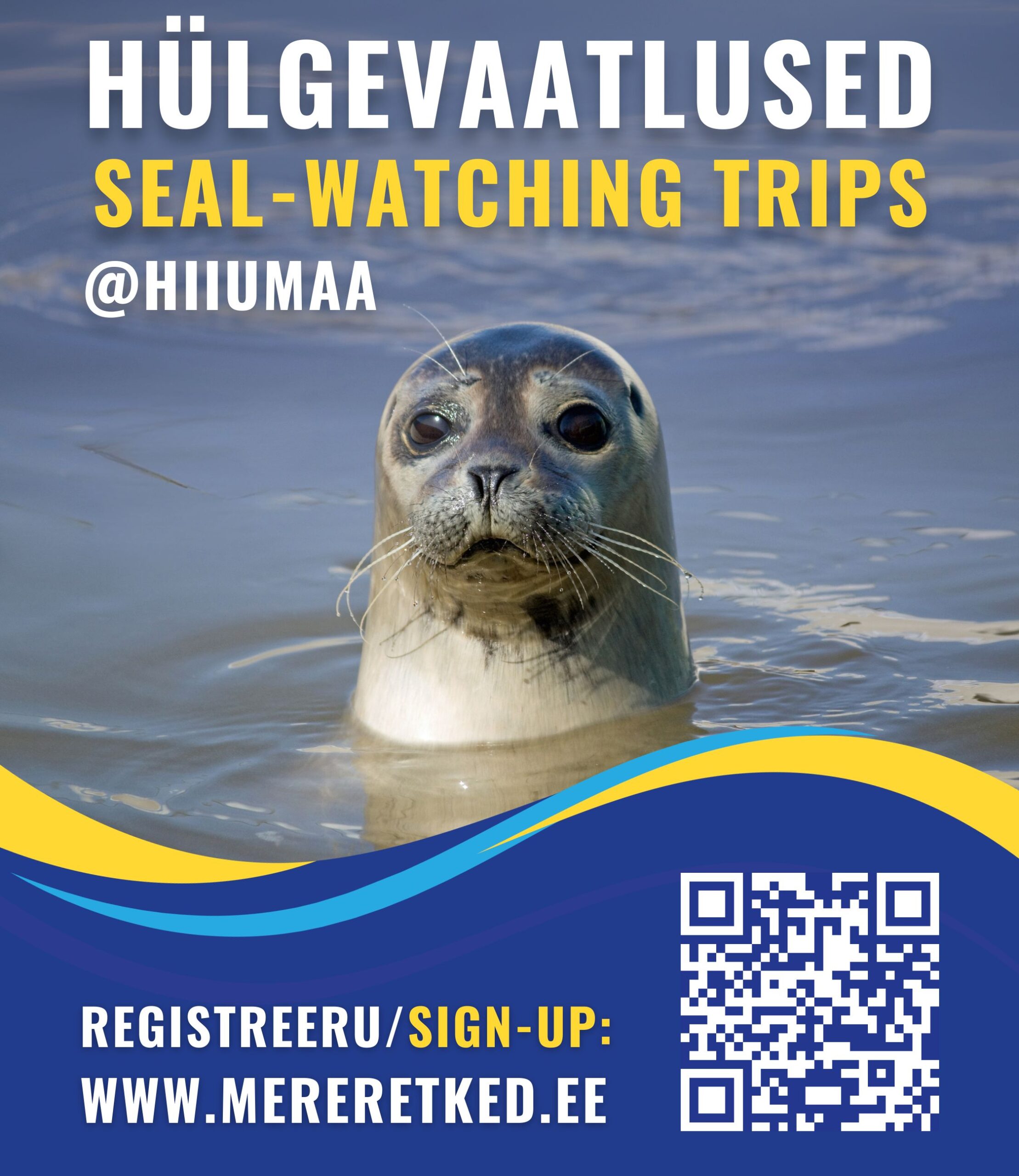 hylgevaatlus2 hylgevaatlus2