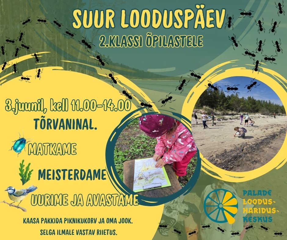 Kutse seiklusele: Hiiumaa 2. klasside Looduse Päev Tõrvaninal!