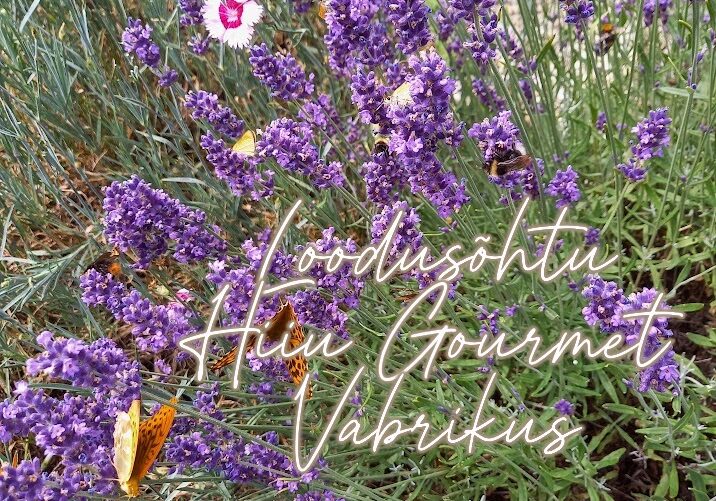 Looduskeskus kutsub loodusõhtule Hiiu Gourmet Vabrikusse