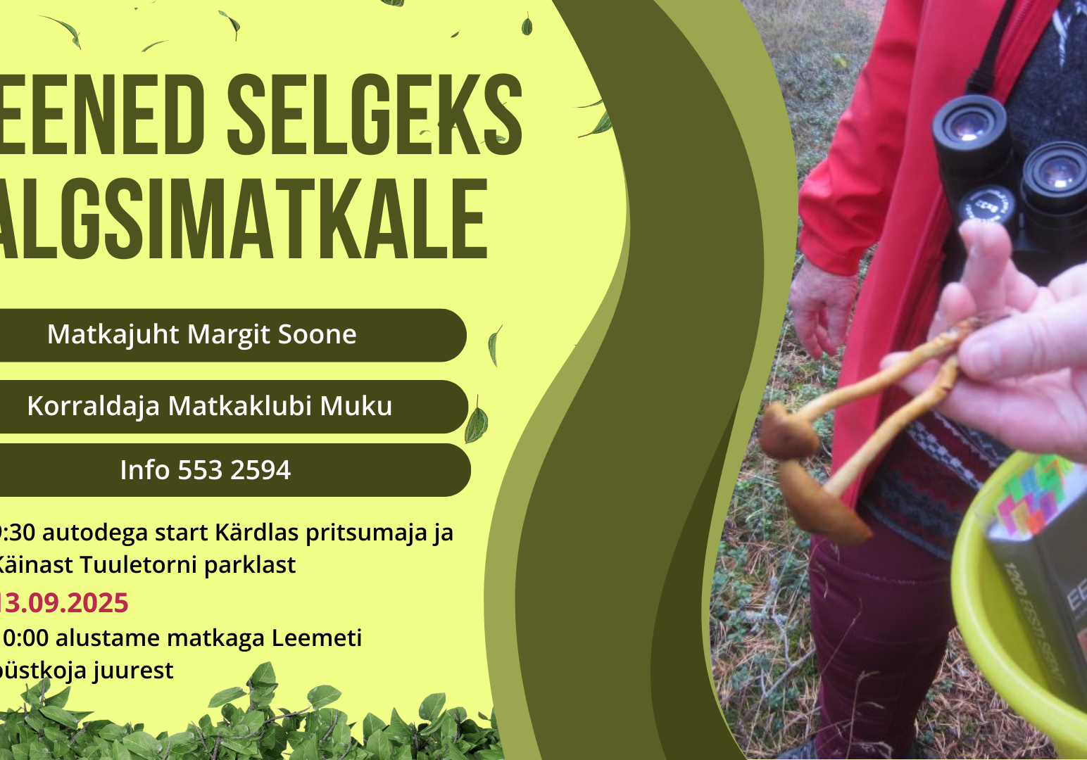 Seened selgeks jalgsimatk