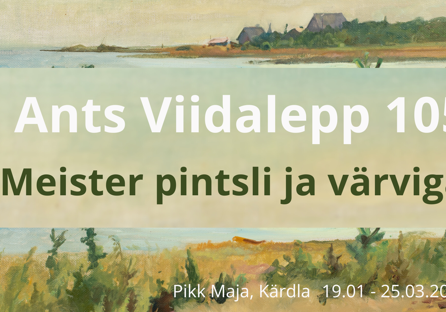 Ants Viidalepp 105. Meister pintsli ja värviga. Hiiumaa Muuseumi Pikk Maja, Kärdla