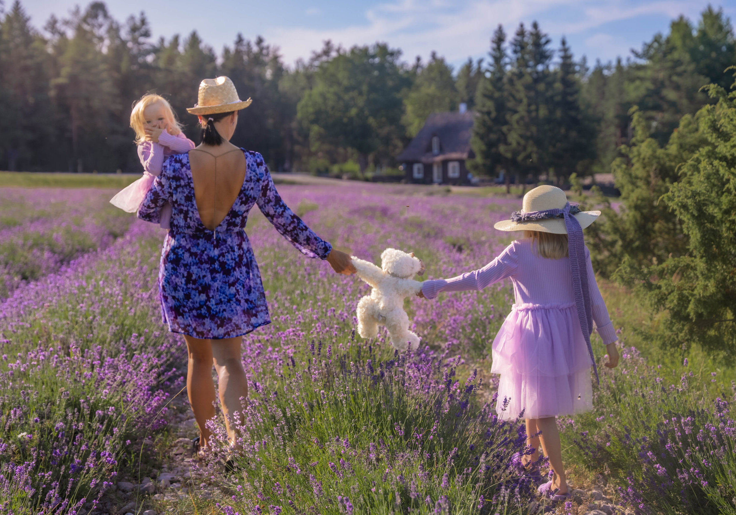 Avatud Talude Päevad Lavendlitalus, pühapäeval 13. juulil