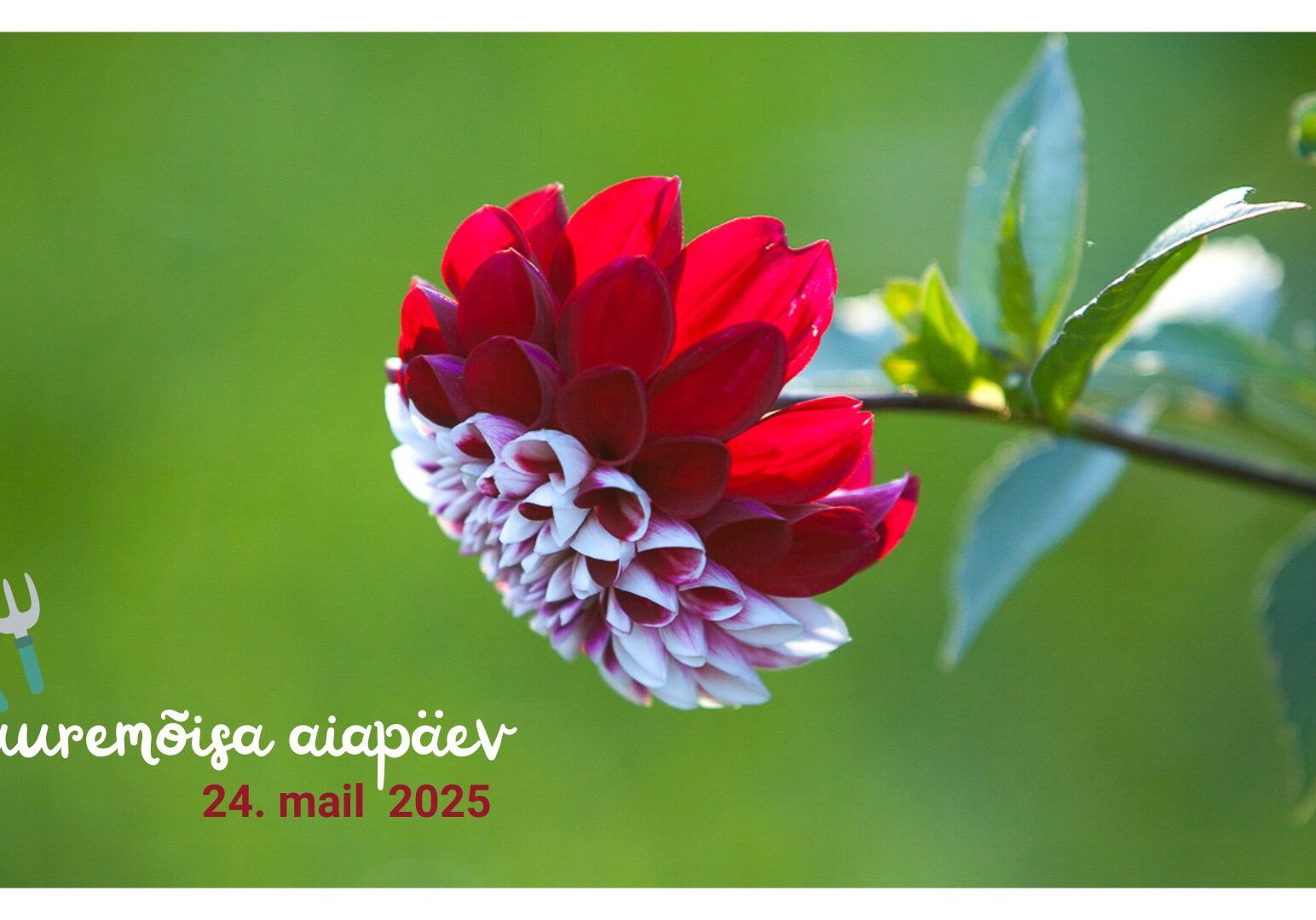 HAK aiapäev 2025_hiiumaa.ee_1920 x 1080