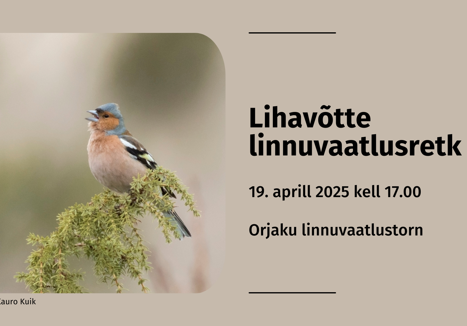 Kauro Kuik / Eesti Ornitoloogiaühing