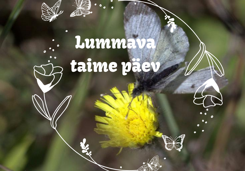 Lummava taime päev Tiharus