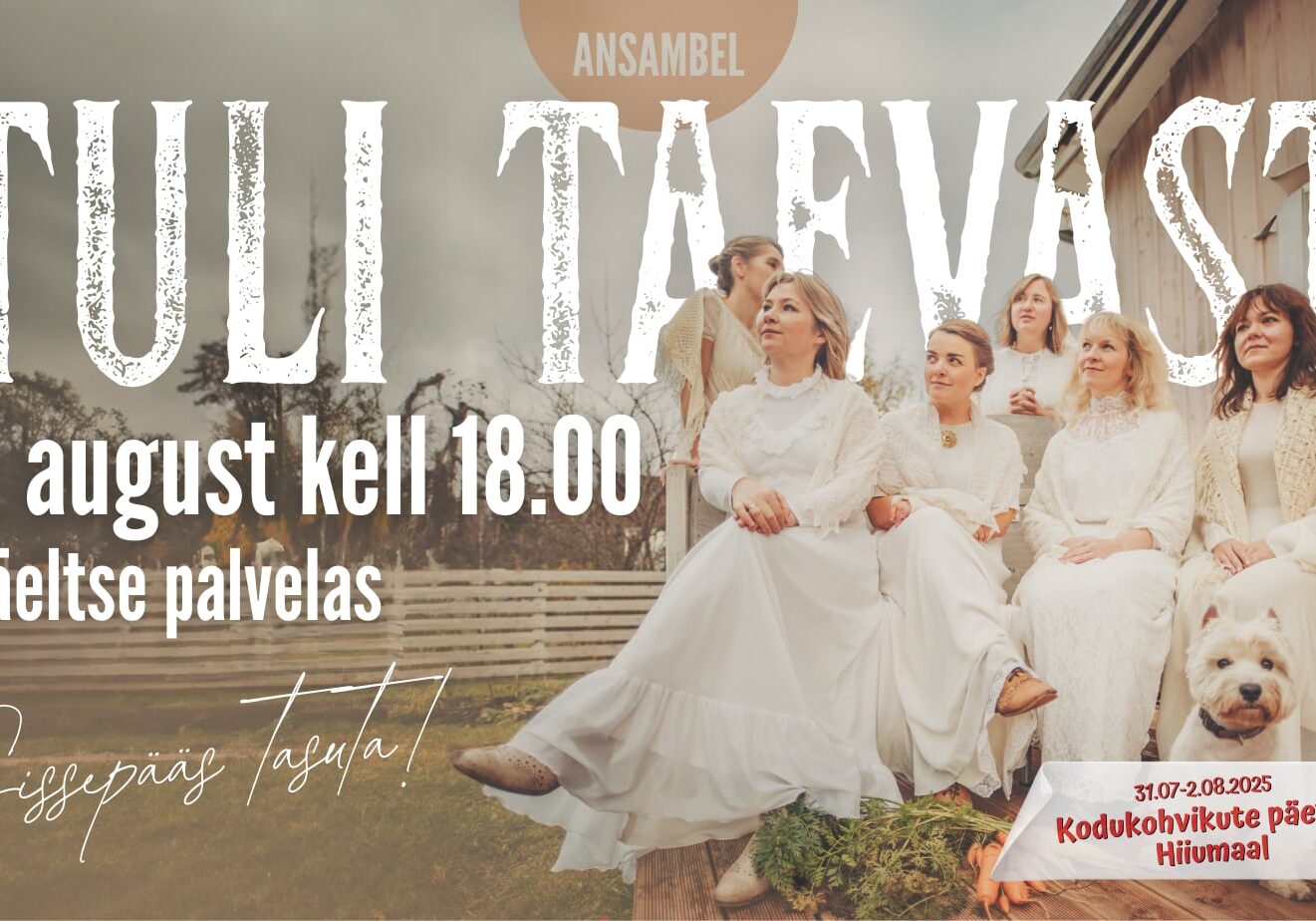 Kontsert ansamblilt Tuli Taevast