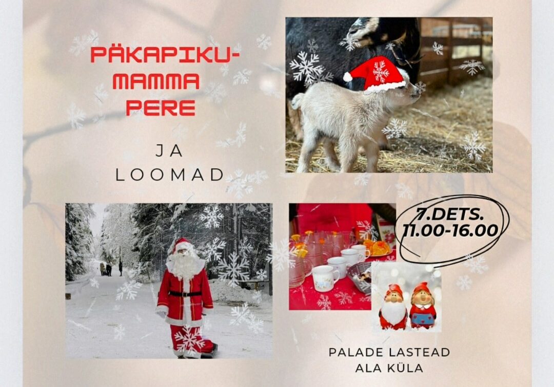 Päkapikumamma