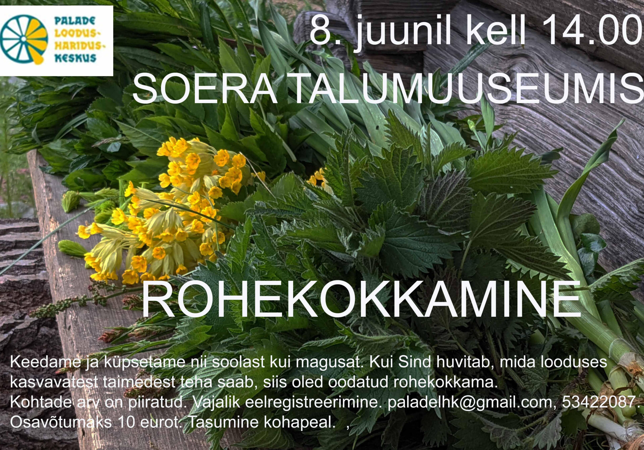 ROHEKOKKAMINE SOERA TALUMUUSEUMIS