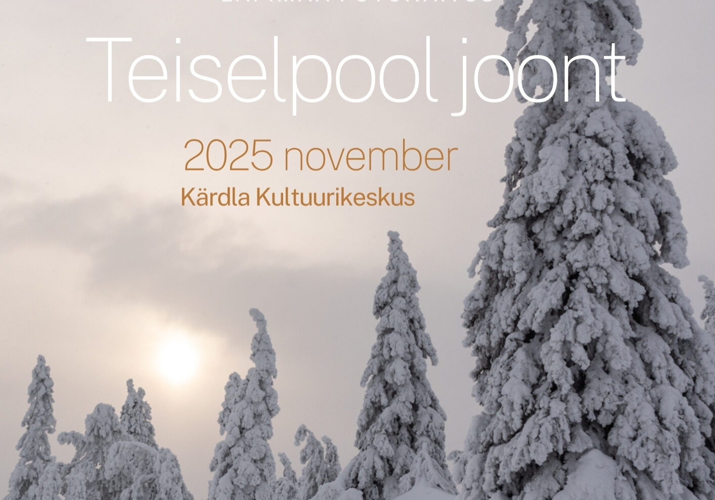 Teiselpool_joont_plakat