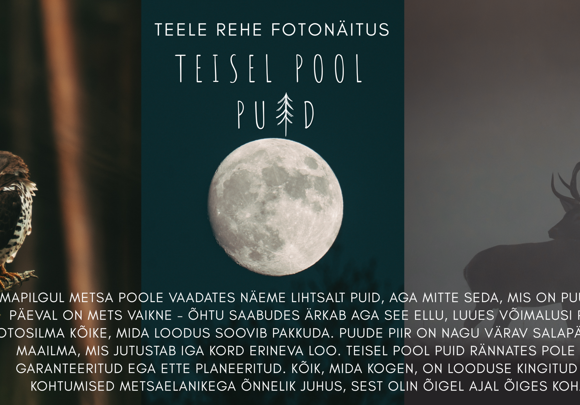Ürituse cover
