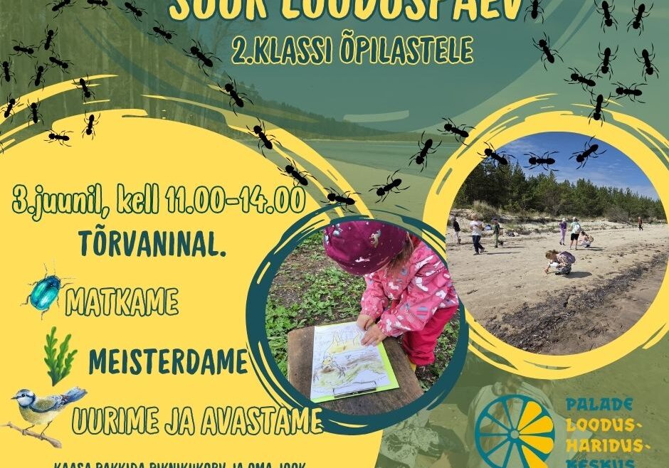 Kutse seiklusele: Hiiumaa 2. klasside Looduse Päev Tõrvaninal!