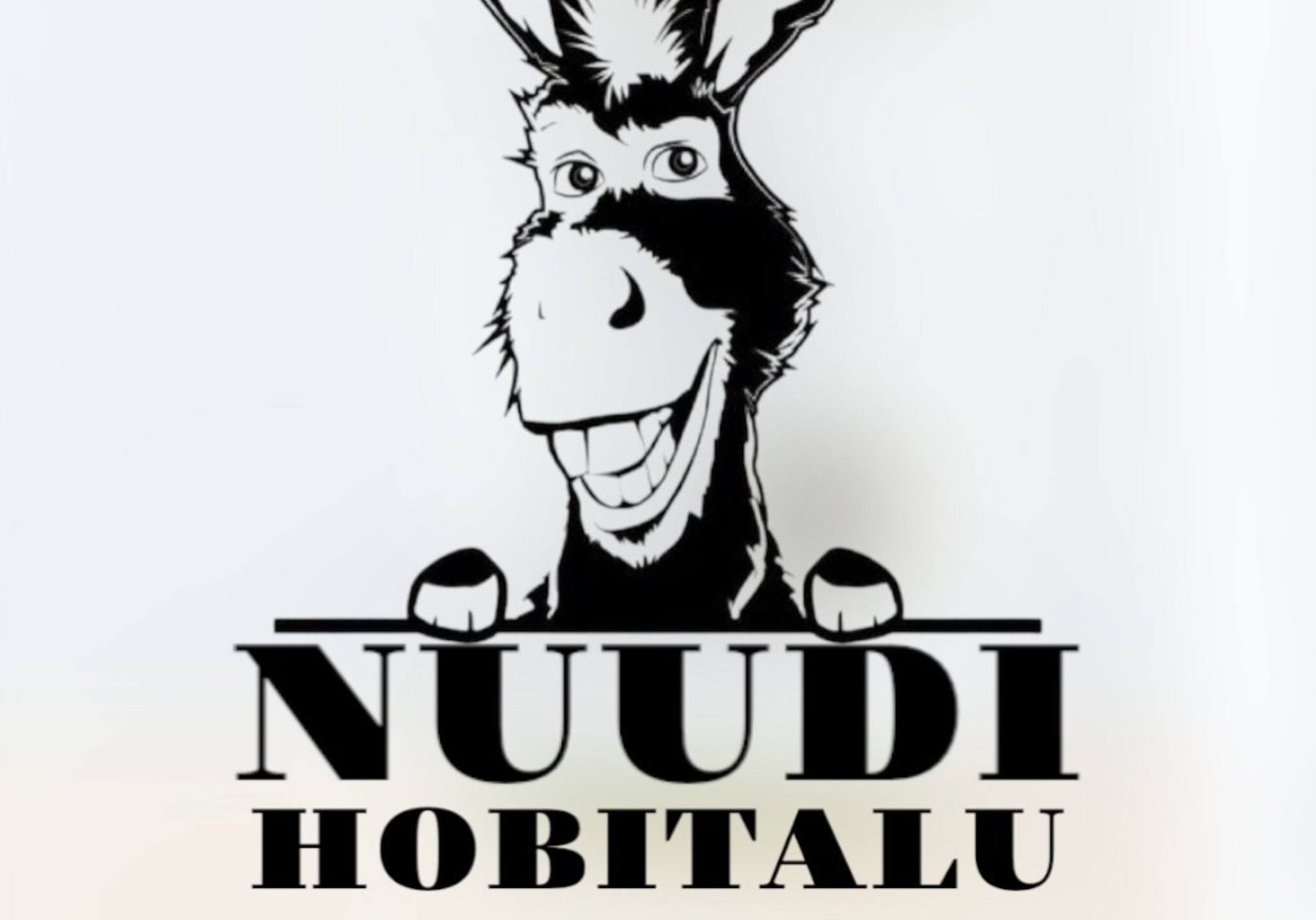 nuudi