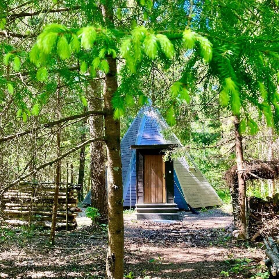 riksi metsakohvik (1)