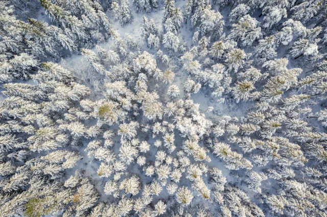 Mõnusat Molutamise päeva! 😌 Milline on sinu viis molutada? 

Fred Jüssi mõtted:
,,Sa vahid tuld ja sa ei mõtle ega taha mitte midagi. Ma olen istunud ööpäev niimoodi üksinda. Ma istun terve õhtupooliku, öö läbi ja järgmise hommikupooliku ja veel pärastlõunani välja. On olnud niisuguseid istumisi. Ja ma tulen tagasi sealt rikkana, kuigi ma ei ole mitte midagi teinud. Inimene läheb niimoodi metsa ja mitte midagi ei tee. Ei tee midagi kasulikku. See on viljakas mittemidagitegemine. See on inimese õigus iseendale, tal on õigus ennast kohelda nii, nagu tema seda õigeks peab. Ja suur häda on selles, kui inimesed arvavad, et nad peavad teiste meele järele elama. Seda mina tean küll, mis see tähendab, kui sa teiste meele järgi hakkad elama, see on midagi hirmsat. Siis on vahel vaja molutada. Minna ära ja molutada kuskil mõnusasti.''

Teeme 29. jaanuarist - Fred Jüssi sünniaastapäevast ehk Molutamise päevast - riigipüha. Üks teadlik puhkus keset talve aitab ennetada kurnatust ja läbipõlemist. 👉 bit.ly/molutamisepäevriigipühaks

#molutamisepäev #fredjüssi #visithiiumaa
Puhka Eestis

📸 Hans Markus Antson & Visit Estonia
Ivo Panasjuk, Markus Vaht, Anni Julge, Argo Nurs
