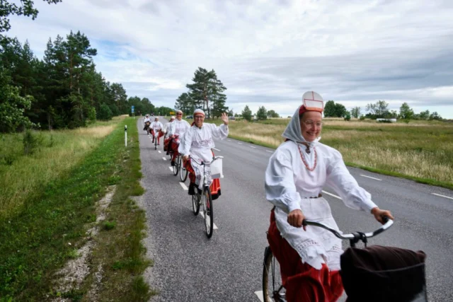 Ilmselt oli vanajumal hiidlane. Muidu ta poleks sellist meretagust kohta teinud. Ja kui ta Hiiumaa valmis sai, mõtles korraks ja ütles: “No aga üks korralik hiiu naine tuleb ka siia teha, muidu kaob saarelt kord ja kohus."

Ja nii ta siis tegi.

Võttis natuke merekangust, et naine tuulega pikali ei läheks.
Lisaks pani metsa rahu, et ta oskaks kuulata, kuidas kadakad sahisevad.
Päikest lisas ka, et naer oleks soe ja silm sädeleks.

Natuke kadakamarja kangust segas sisse, et jutt oleks otsekohene ja vajadusel ka parasjagu vürtsikas.
Siiakala tarkust pani ka, et ta teaks täpselt, millal võrk sisse panna ja mustika magusust lisas nii palju, et kui ta naeratab, läheb tuju paremaks ka kõige rohkem mossis mandrimehel.

Aga siis juhtus väike hiiu moodi asi.
Vanajumal mõtles, et paneks natuke vaikust ka juurde.
Läks korraks mujale, tuli tagasi… ja vaatas, et vaikuse asemel oli jutuosavust natuke rohkem saanud.

No mis seal ikka, mõtles ta.
Hiiumaal kulub seda ka ära.

Ja nii sündiski üks hiiu naine, kes on väljast rahulik nagu sile meri,
seest suurem kui Hiiumaa ise ja kellel juttu jätkub vähemalt järgmise praamini.

Head naistepäeva, maailma kõige tugevamatele, targematele ja andekamatele naistele, Hiiu naistele!