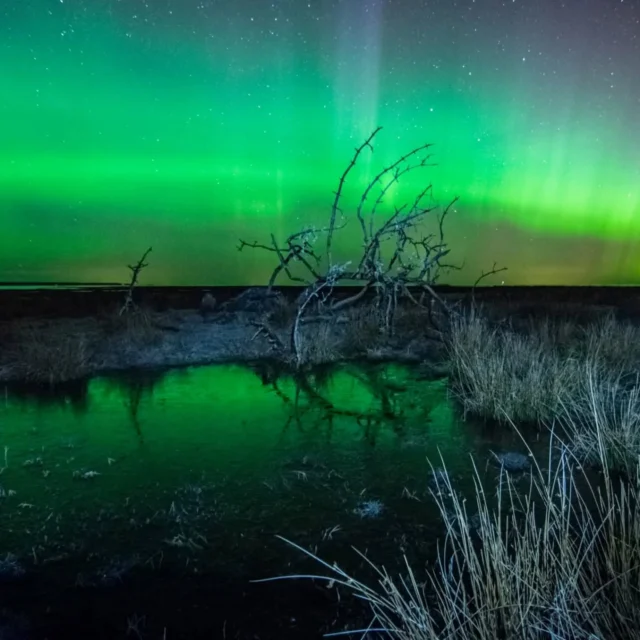 20. märtsi ööl kaunistasin Hiiumaa taevast virmalised. 🤗

Fotod: Taavo Oga ja Martin Lauri