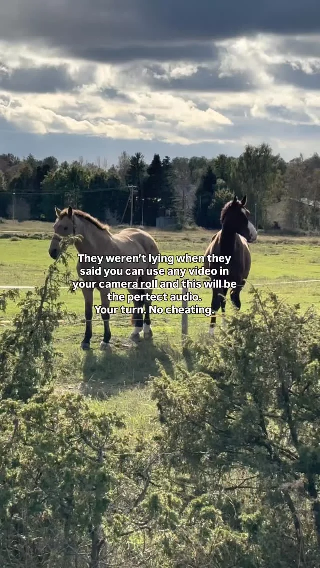 We can feel it coming. 🥺

#visithiiumaa #hingelthiid