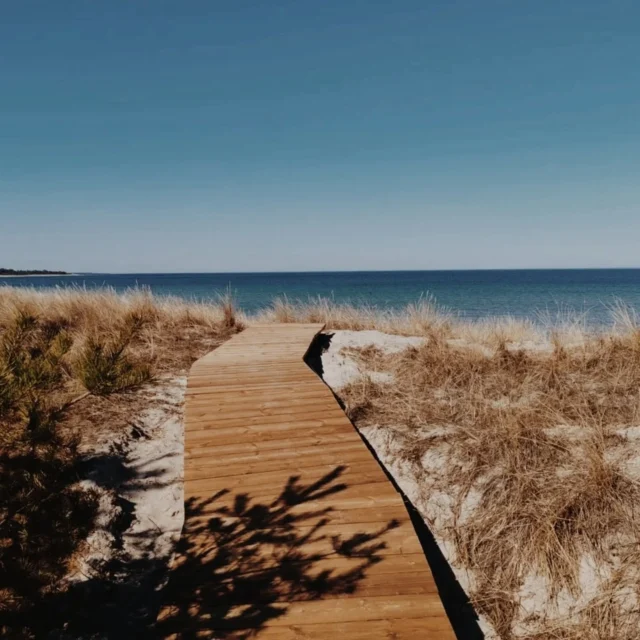 Palli RMK telkimisala on saanud uuenduskuuri ja värskenduse ning ootab suvitajaid juba praegu ⛺️

Fotod: @hiiumaavald